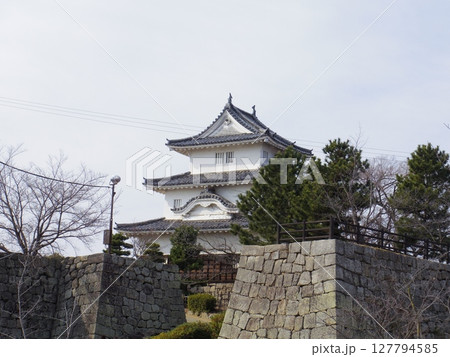 丸亀城(香川県丸亀市) 丸亀城(香川県丸亀市) 127794585