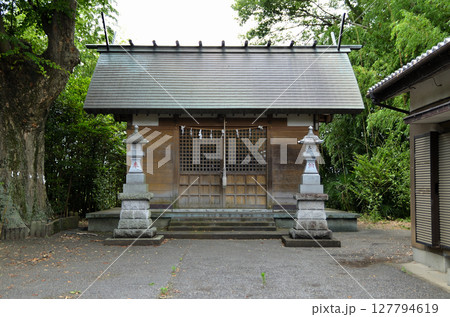 埼玉県行田市馬見塚の馬見塚神明社　御神木の大欅 127794619