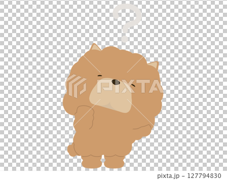 Chow Chow with a confused expression Chow Chow with a confused expression 127794830