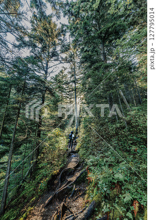 自然と向き合う、静寂の登山道 127795014