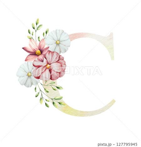 Watercolor letter C with floral ornament and soft foliage, gerbera, chamomile, echinacea. Delicate hand drawn butterfly and botanical elements in elegant.Transparent PNG, perfect for wedding monogram Watercolor letter C with floral ornament and soft foliage, gerbera, chamomile, echinacea. Delicate hand drawn butterfly and botanical elements in elegant.Transparent PNG, perfect for wedding monogram 127795945