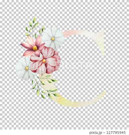 Watercolor letter C with floral ornament and soft foliage, gerbera, chamomile, echinacea. Delicate hand drawn butterfly and botanical elements in elegant.Transparent PNG, perfect for wedding monogram Watercolor letter C with floral ornament and soft foliage, gerbera, chamomile, echinacea. Delicate hand drawn butterfly and botanical elements in elegant.Transparent PNG, perfect for wedding monogram 127795945