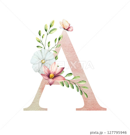 Watercolor letter A with floral ornament and soft foliage, gerbera, chamomile, echinacea. Delicate hand drawn butterfly and botanical elements in elegant.Transparent PNG, perfect for wedding monogram Watercolor letter A with floral ornament and soft foliage, gerbera, chamomile, echinacea. Delicate hand drawn butterfly and botanical elements in elegant.Transparent PNG, perfect for wedding monogram 127795946