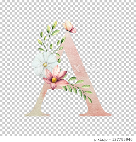 Watercolor letter A with floral ornament and soft foliage, gerbera, chamomile, echinacea. Delicate hand drawn butterfly and botanical elements in elegant.Transparent PNG, perfect for wedding monogram 127795946