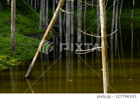 北海道日高町の黒池 北海道日高町の黒池 127796393