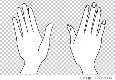 Vector illustration of a simple line drawing of a front and back restraining hand 127796535