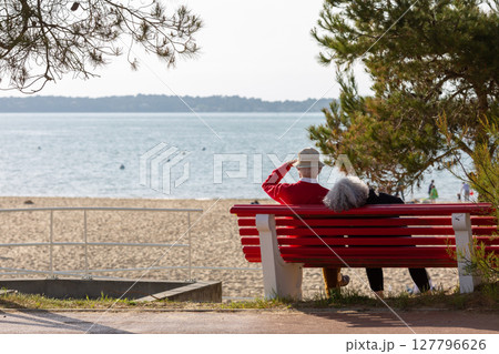 senior couple sitting on a bench looking at the sea senior couple sitting on a bench looking at the sea 127796626