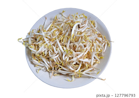 Beansprout in white plate 127796793