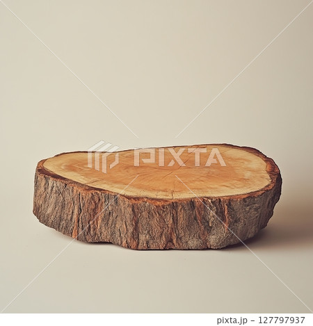 Natural tree cross-section slab on beige background 127797937