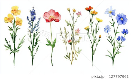 Assorted blooming wildflowers arranged in rows, showing different types and colors in artistic style 127797961
