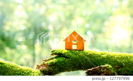 苔の上に置いたミニチュアの家 苔の上に置いたミニチュアの家 127797996