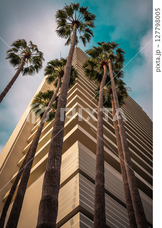 アメリカ ロサンゼルスのハリウッドの街並み アメリカ ロサンゼルスのハリウッドの街並み 127798005