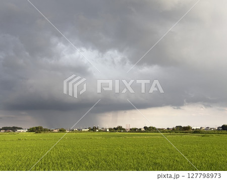 梅雨の田園風景を通り過ぎるゲリラ豪雨の雨柱 梅雨の田園風景を通り過ぎるゲリラ豪雨の雨柱 127798973