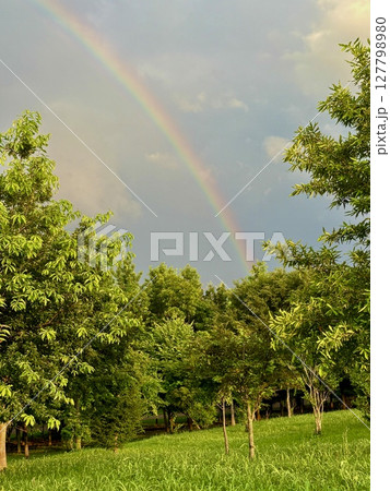 梅雨の関東平野にかかる虹 127798980