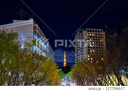 ビルの間から見える東京タワー 127799017