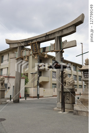 杭全神社　鳥居　大阪府平野区 127799149