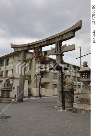 杭全神社　鳥居　大阪府平野区 127799300
