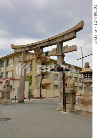 杭全神社　鳥居　大阪府平野区 127799301