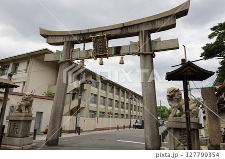 杭全神社　鳥居　大阪府平野区 127799354