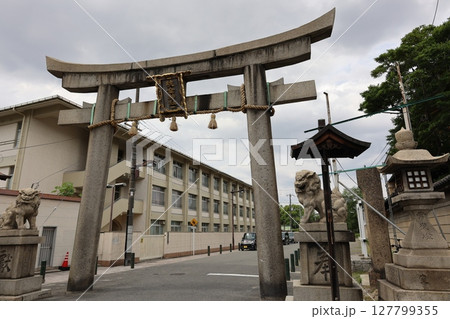 杭全神社　鳥居　大阪府平野区 127799355