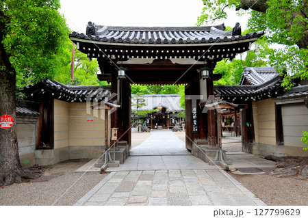 杭全神社　本殿　大阪府平野区 127799629