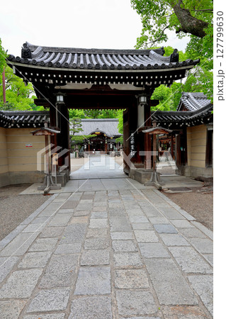 杭全神社　本殿　大阪府平野区 127799630