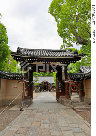 杭全神社　本殿　大阪府平野区 127799631