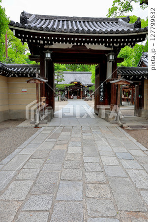 杭全神社 本殿 大阪府平野区 杭全神社 本殿 大阪府平野区 127799632