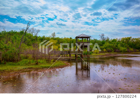 White Lake at Cullinan Park in sugarland Texas 127800224