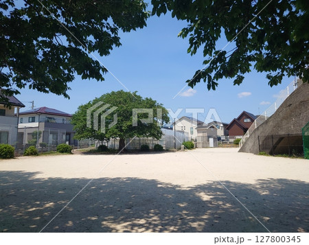 掩体壕 掩体壕跡 (長崎県大村市/下原口公園) 掩体壕 掩体壕跡 (長崎県大村市/下原口公園) 127800345