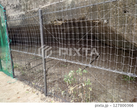 掩体壕　掩体壕跡　(長崎県大村市／下原口公園) 127800366