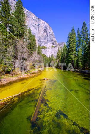 Yosemite Merced River and el Capitan in California 127800736