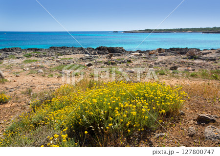 Menorca Son Saura beach in Ciutadella turquoise Balearic Menorca Son Saura beach in Ciutadella turquoise Balearic 127800747