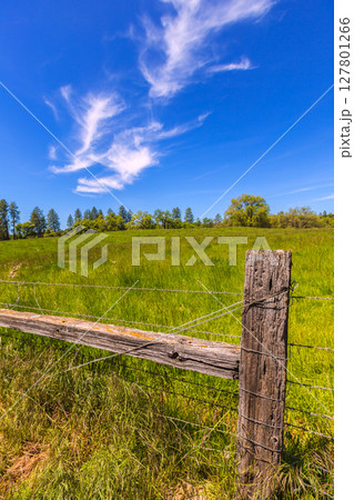 California meadow ranch in a blue sky spring day California meadow ranch in a blue sky spring day 127801266