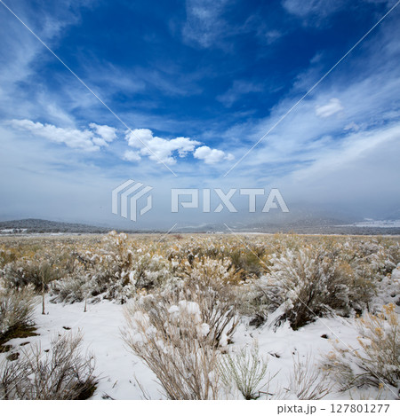 Nevada USA spring snow in the mountains 127801277