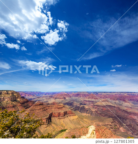Arizona Grand Canyon National Park Yavapai Point Arizona Grand Canyon National Park Yavapai Point 127801305