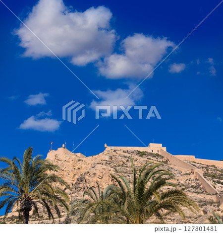 Alicante Santa Barbara castle in Mediterranean spain Alicante Santa Barbara castle in Mediterranean spain 127801481