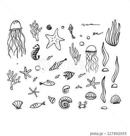 Vector hand drawn set illustration with sea world fishes, jellyfishes, crab, sea stars. and other Vector hand drawn set illustration with sea world fishes, jellyfishes, crab, sea stars. and other 127802055