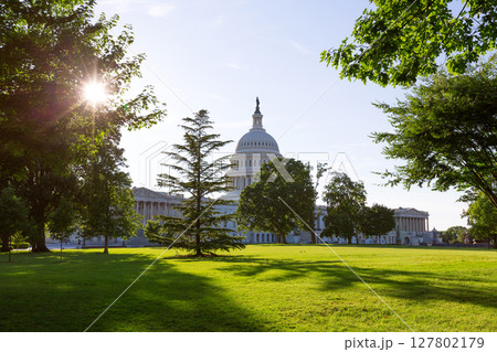Capitol building Washington DC sunset garden US Capitol building Washington DC sunset garden US 127802179
