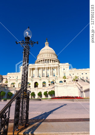 Capitol building Washington DC sunlight day US 127802183