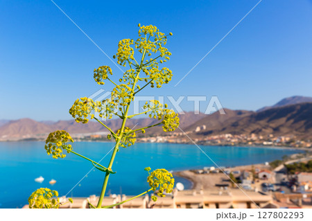 La Azohia beach Murcia in Mediterranean Spain La Azohia beach Murcia in Mediterranean Spain 127802293