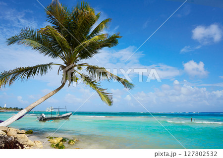 Mahahual Caribbean beach in Costa Maya Mahahual Caribbean beach in Costa Maya 127802532