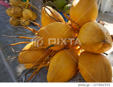 Coconuts for drinking water in Caribbean 127802553