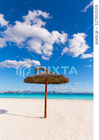 Mallorca Platja de Alcudia beach in Majorca 127802616