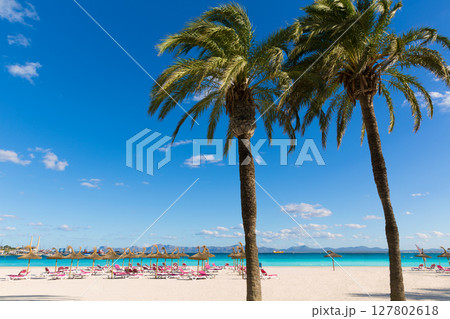Mallorca Platja de Alcudia beach in Majorca 127802618