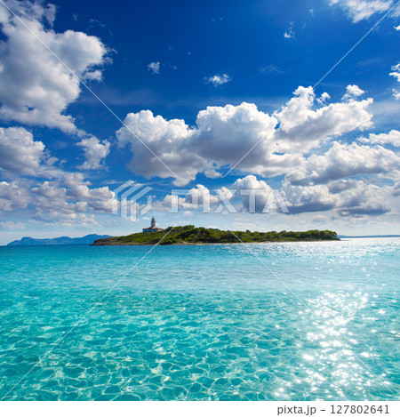Platja de Alcudia Aucanada beach in Mallorca Platja de Alcudia Aucanada beach in Mallorca 127802641