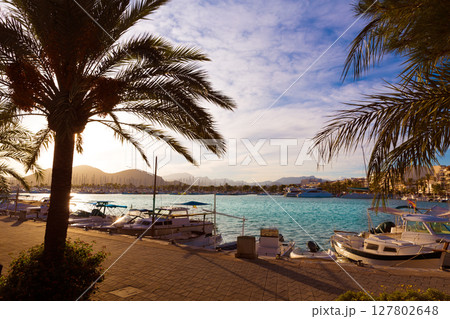 Alcudia Majorca at sunset on marina port Mallorca Alcudia Majorca at sunset on marina port Mallorca 127802648