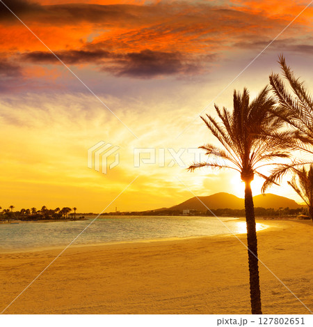Alcudia Majorca at sunset on the beach Mallorca 127802651