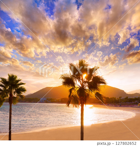 Alcudia Majorca at sunset on the beach Mallorca Alcudia Majorca at sunset on the beach Mallorca 127802652
