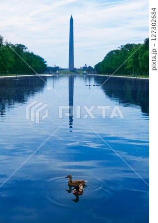 Washington Monument morning reflecting pool 127802684